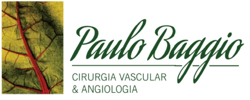 Logo Paulo Baggio